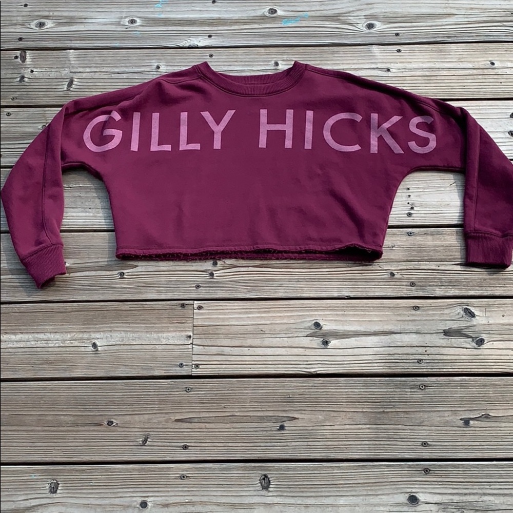 Gilly Hicks Cropped Sweatshirt by Holister